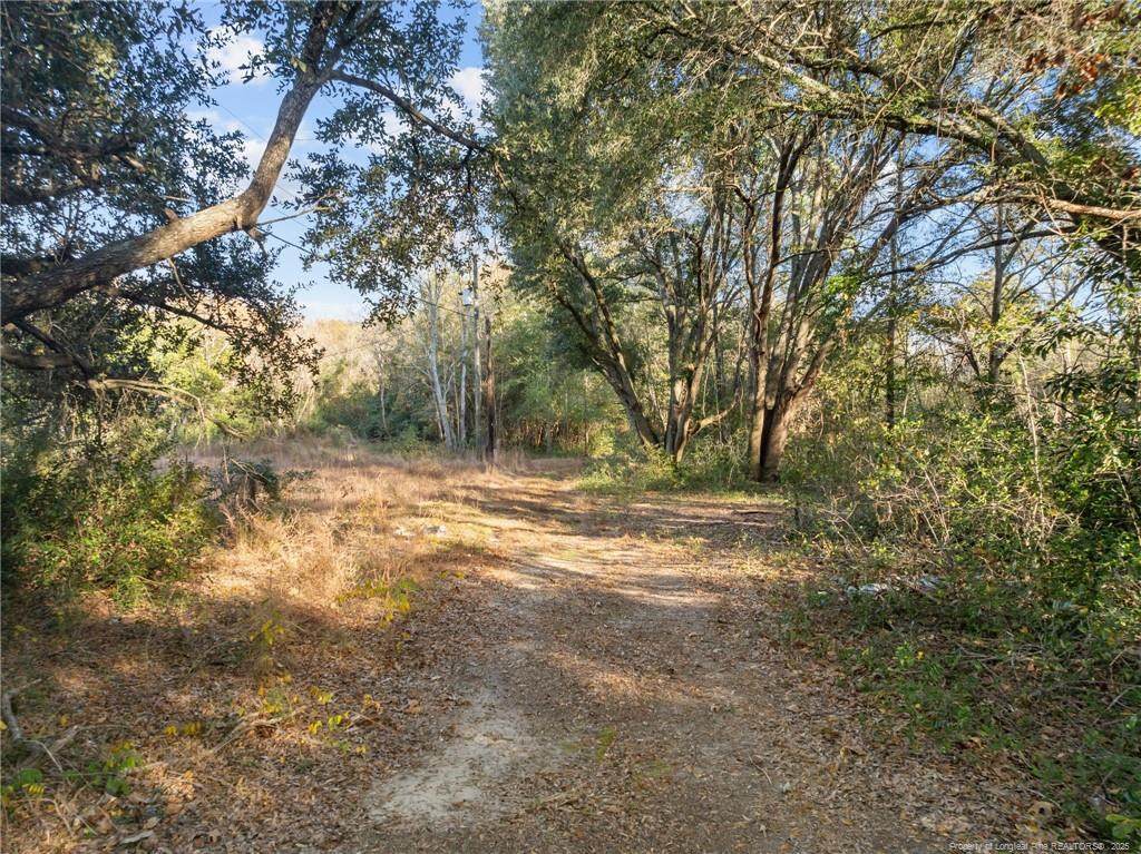  Doby Drive - Photo 1