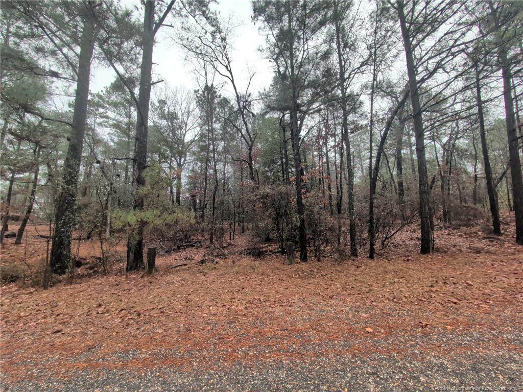 1211 Laurel Circle - Photo 1