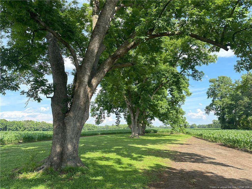 Lot A Pleasant Hope Road - Photo 1