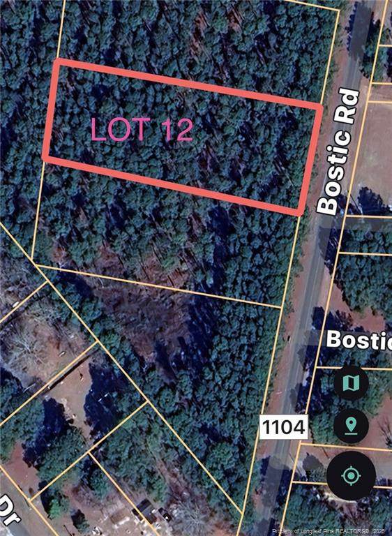 TBD Bostic (Lot 12) Road - Photo 1