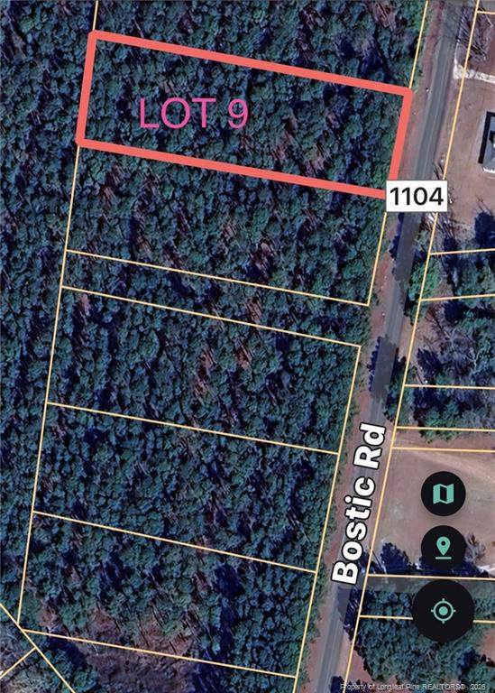 TBD Bostic (Lot 9) Road - Photo 1