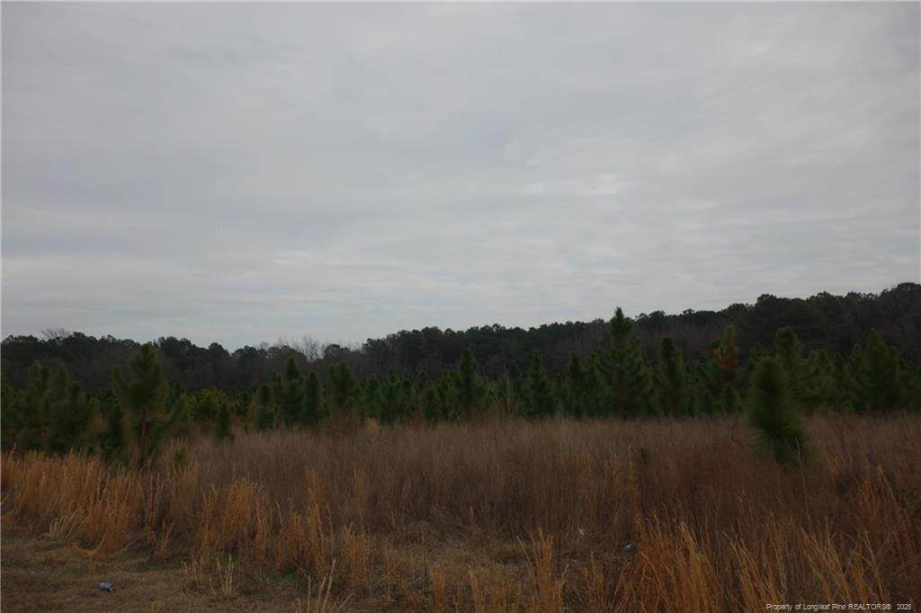 Lot 33 Stuarts Mill Road - Photo 1