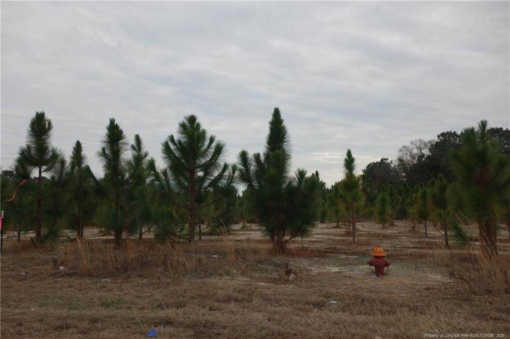Lot 35 Stuarts Mill Road - Photo 1