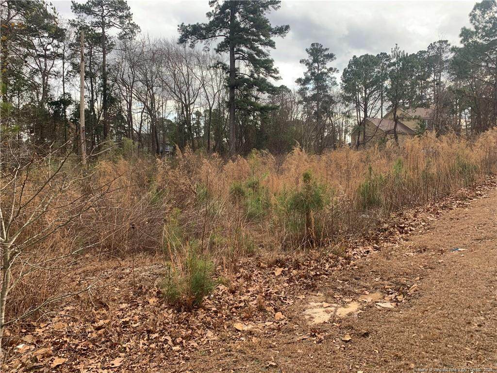 0 Brookridge Drive - Photo 1