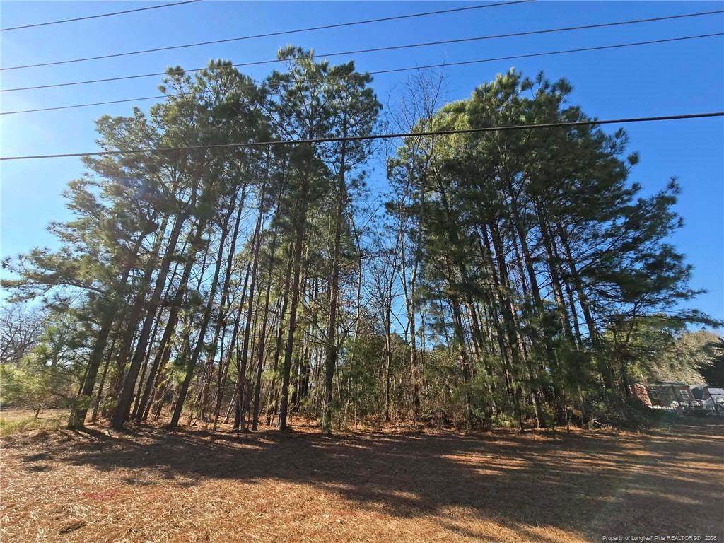 4026 Nursery Road - Photo 1