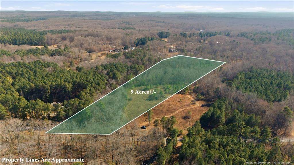 LOT B 1600 Mt. Willing Road - Photo 1