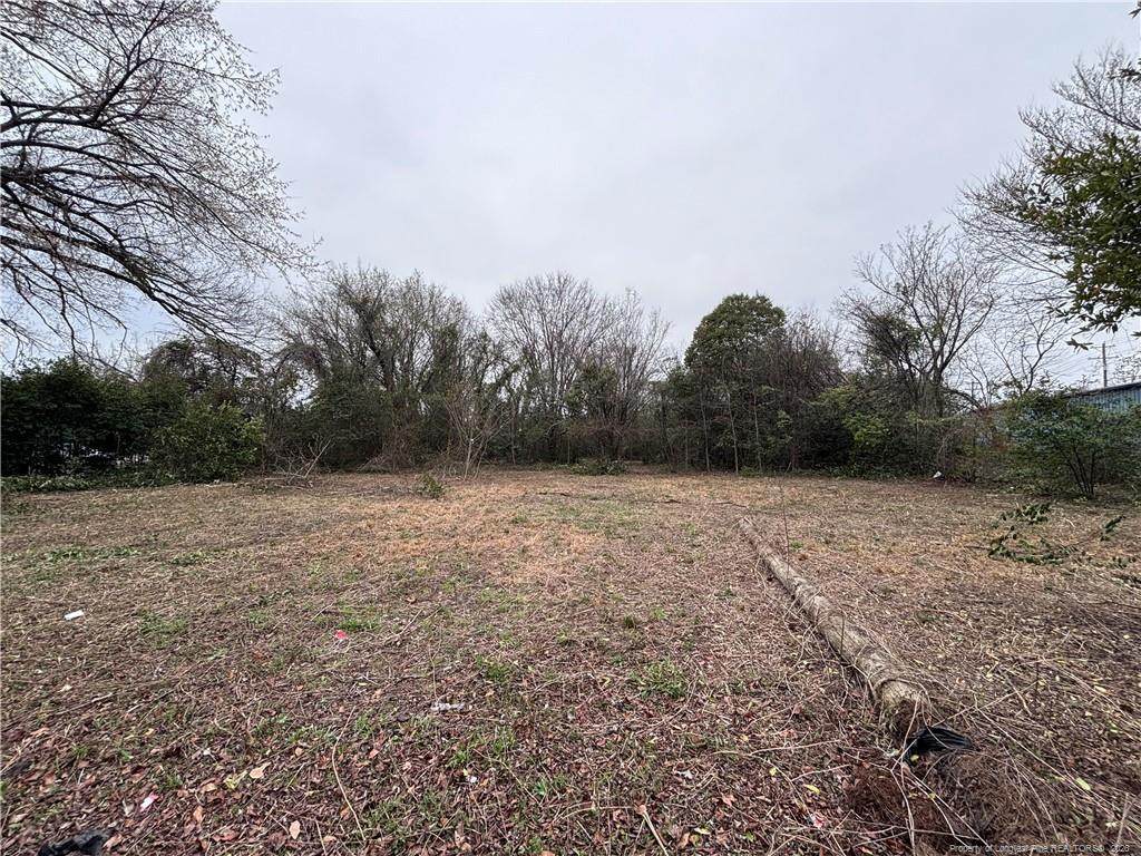 447 Hillsboro Street - Photo 1
