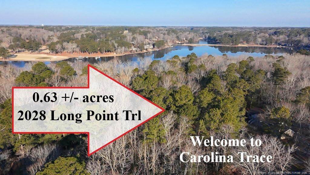2028 Long Point Trail - Photo 1