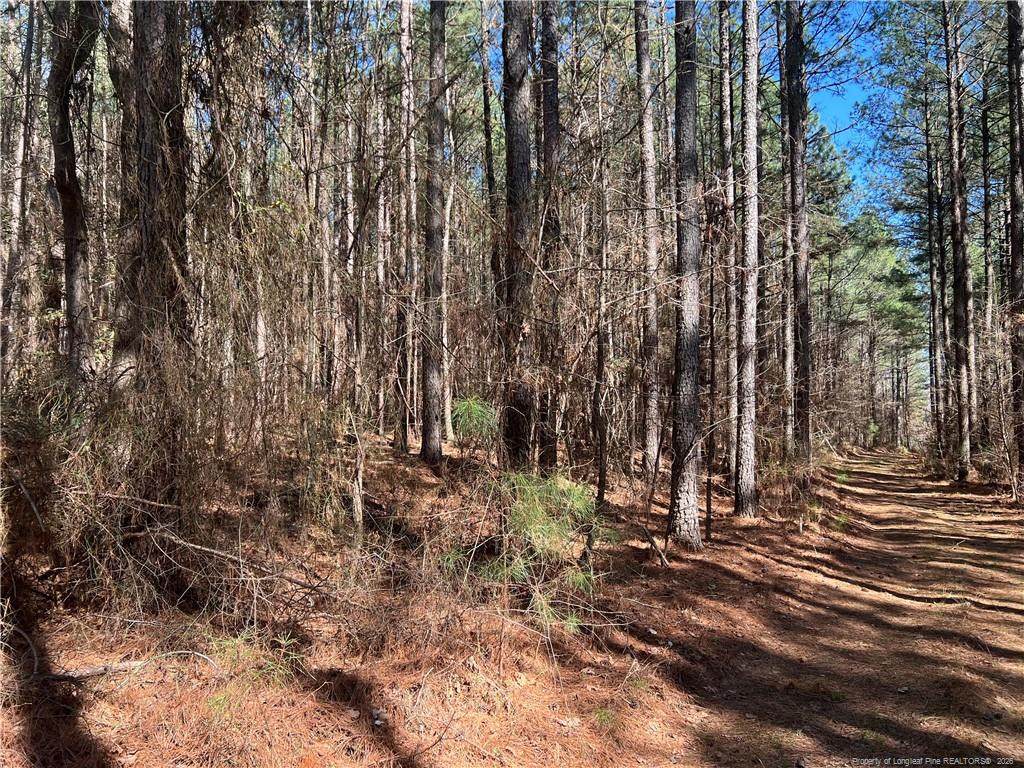 0 Tempting Church Road - Photo 1