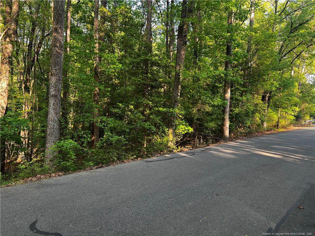 1009 Windrace Trail - Photo 1