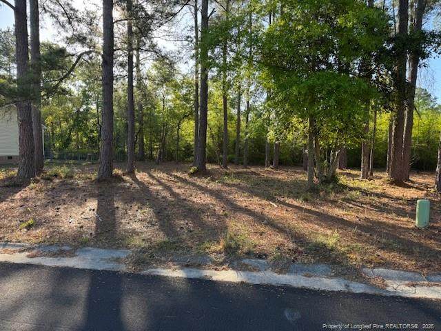 213 Waddell Drive - Photo 1