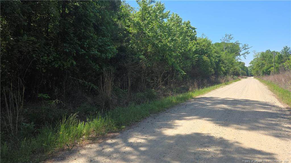 1634 Sweetie Road - Photo 1