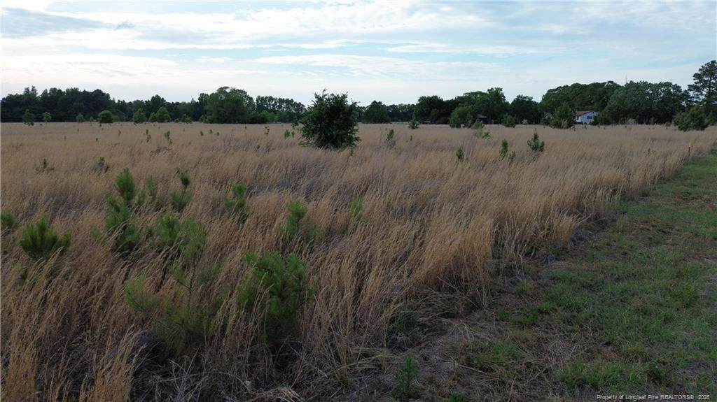 Lot 5 Fairley Road - Photo 1