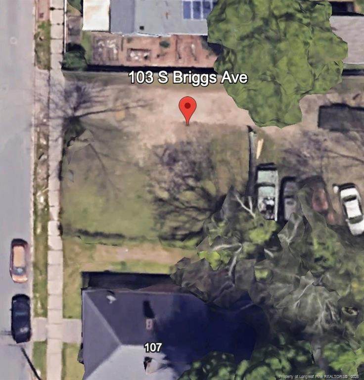 103 Briggs Avenue - Photo 1