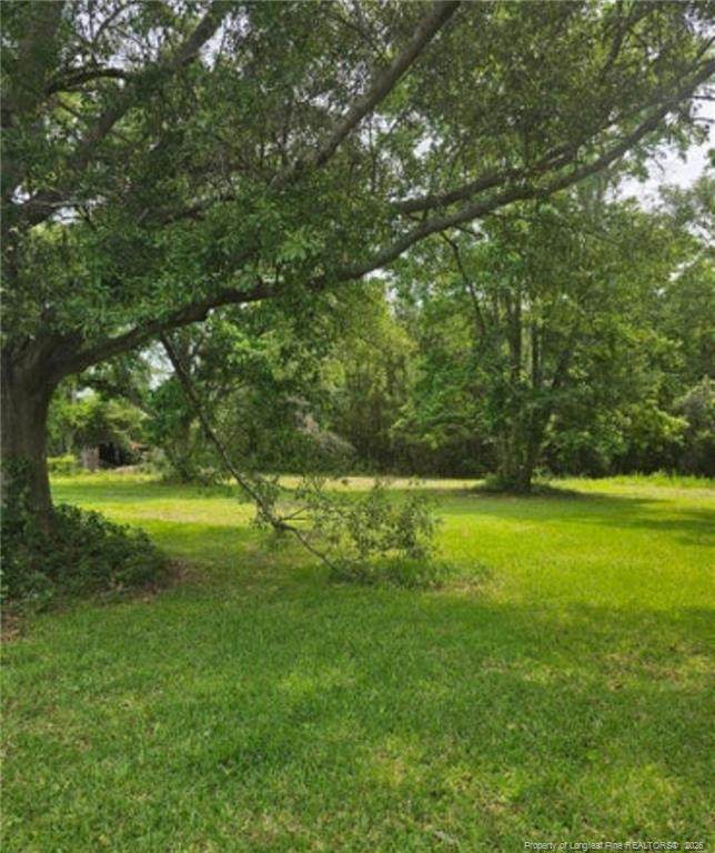 222 Fulcher Landing Road - Photo 1