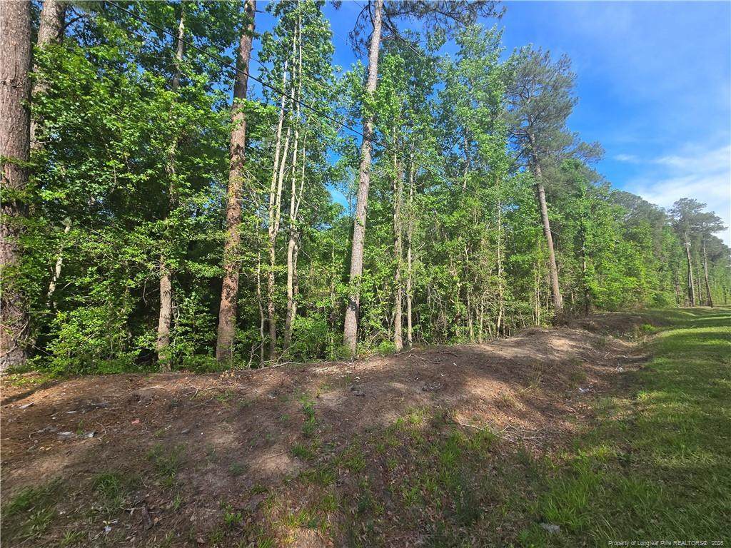 TBD Cabins Creek Road - Photo 1