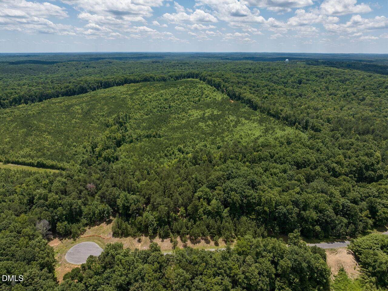 36 Blufftonwood Drive - Photo 1