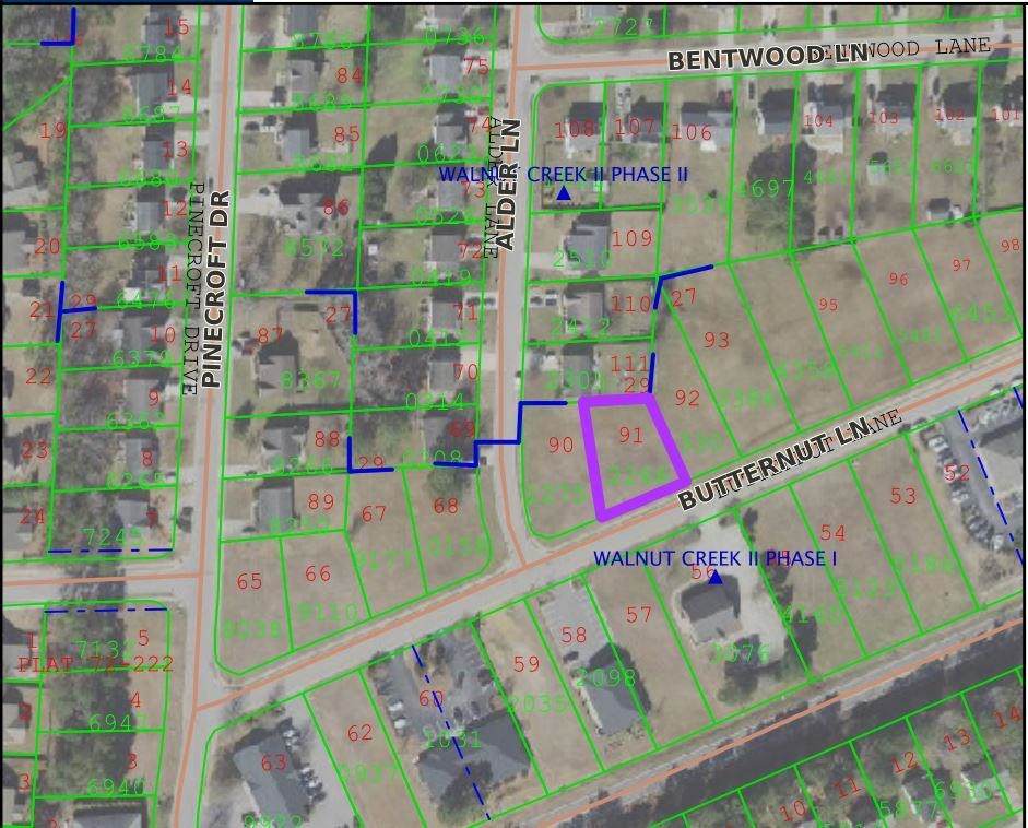 209 Butternut Lane - Photo 1