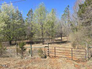 Tbd Carr Store Road - Photo 1