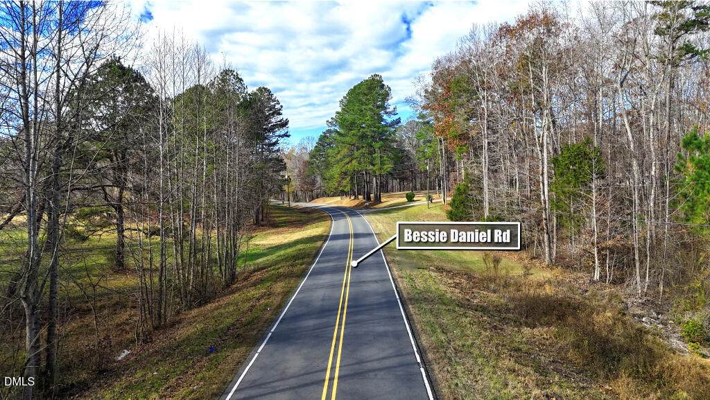 Lot 4 Bessie Daniel Road - Photo 1