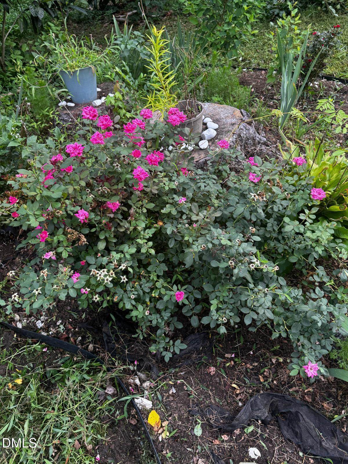 https://bt-photos.global.ssl.fastly.net/tmls/orig_boomver_2_10181373-2.jpg