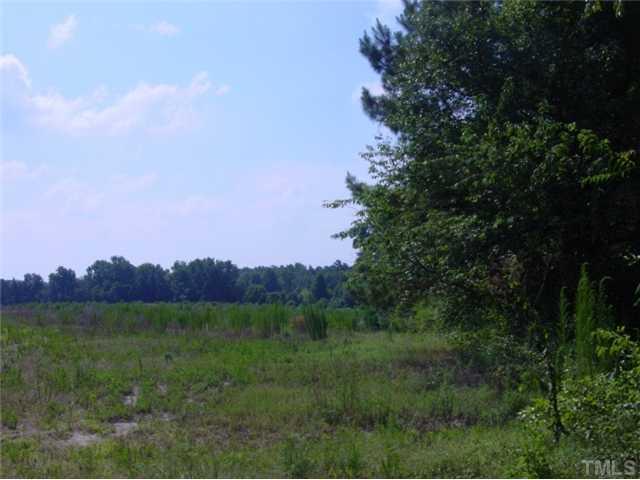 Deer Tail Lane - Photo 1