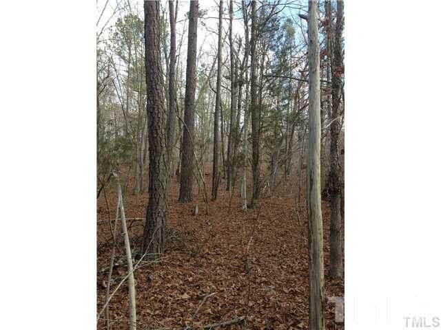 lot 7 Deer Mountain Road - Photo 1
