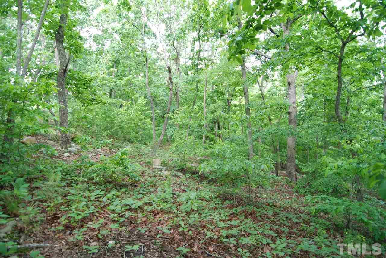 10377 Holt - Photo 1