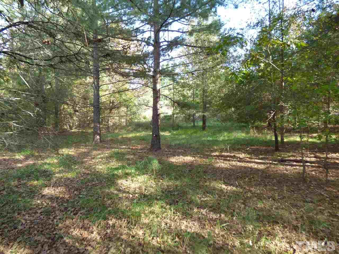 5203 Mt Willing Road - Photo 1
