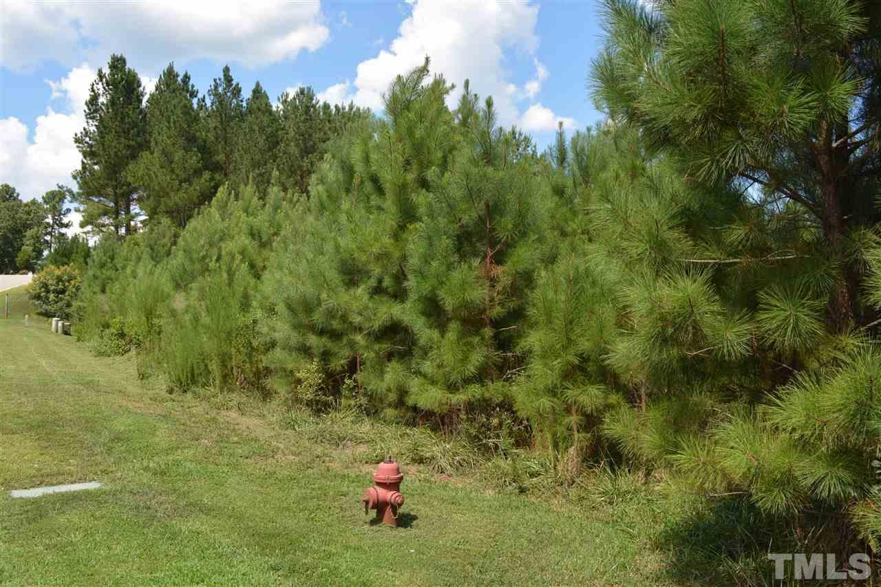 1297 Golfers View Drive - Photo 1