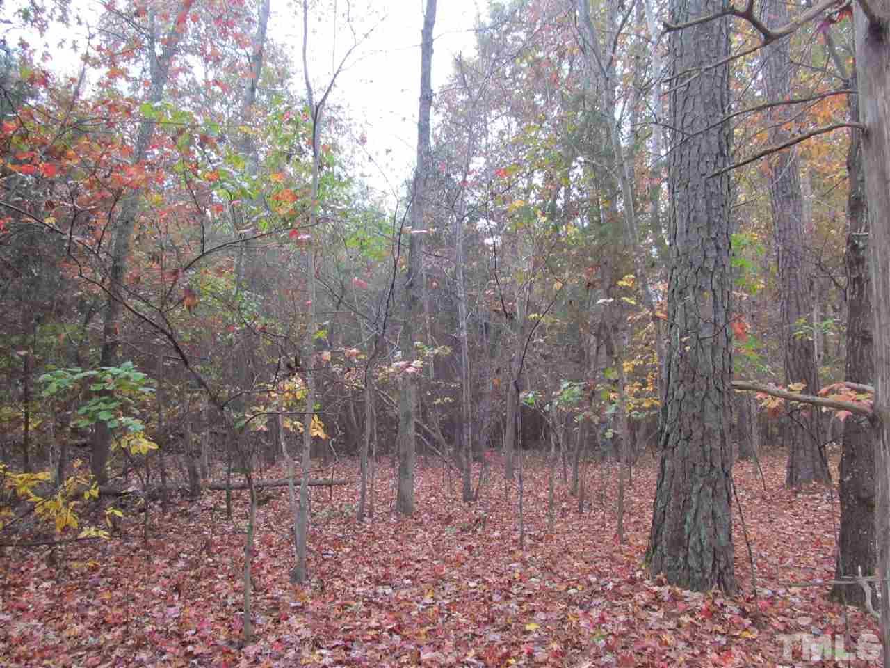 1103 Eubanks Road - Photo 1