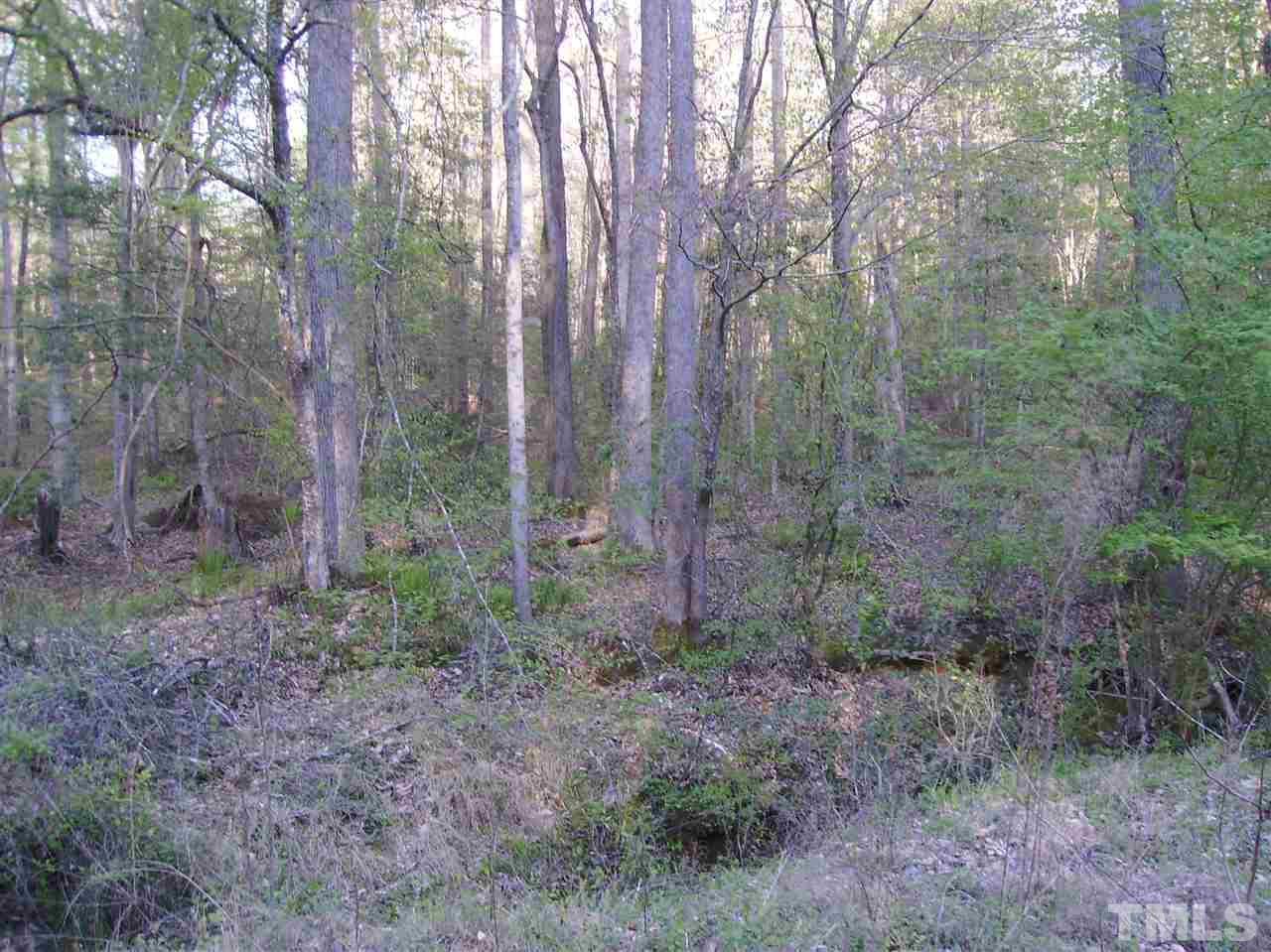 106 Sequoia Drive - Photo 1