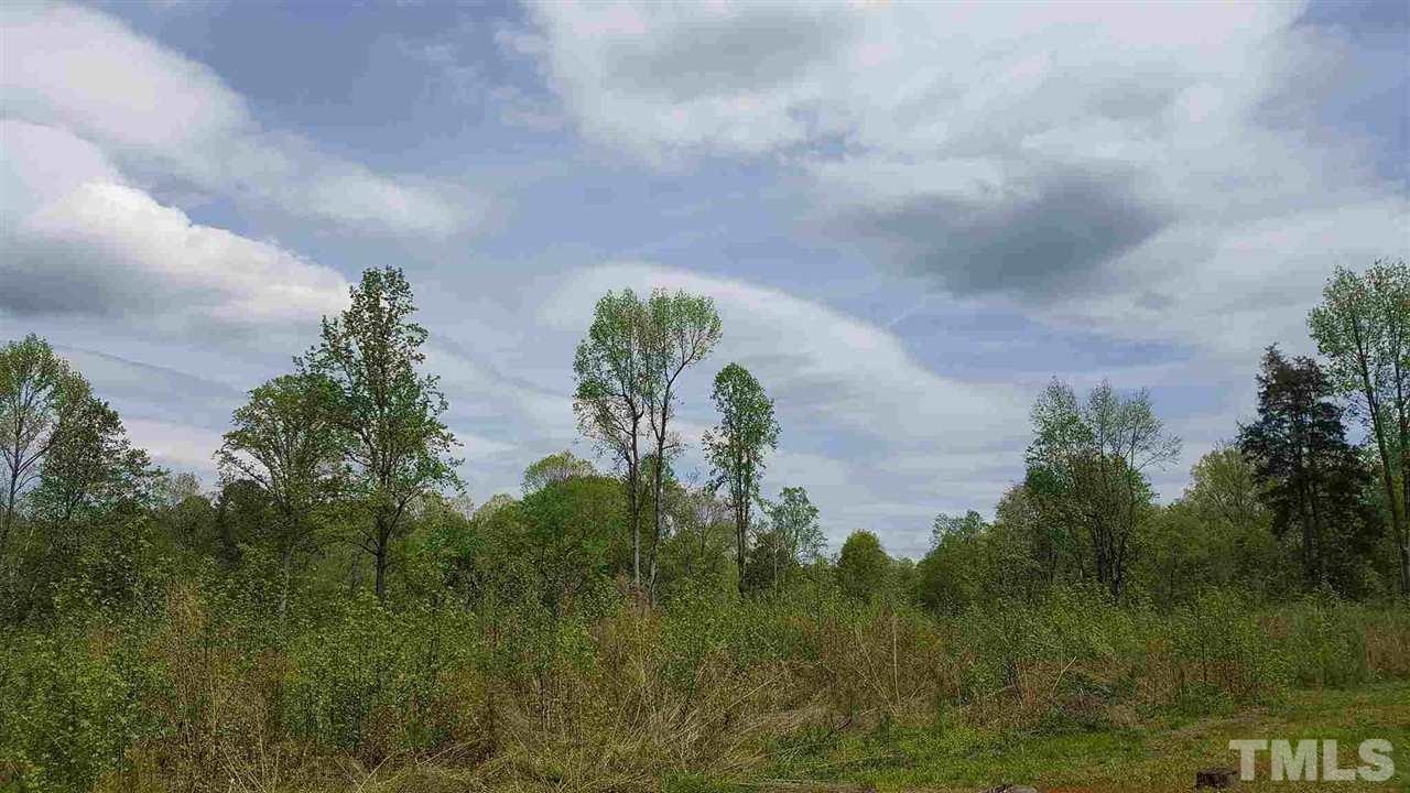 0 Parker Herndon Road - Photo 1