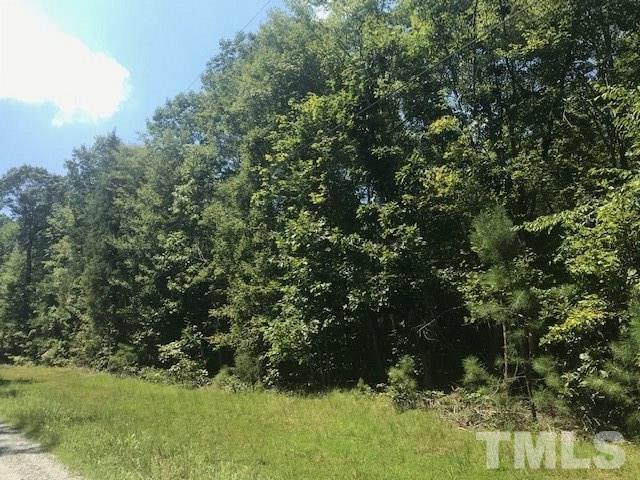 Sykes Glen Trail - Photo 1