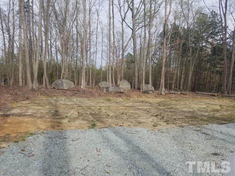 Lot 18 Beaver Creek Parkway - Photo 1