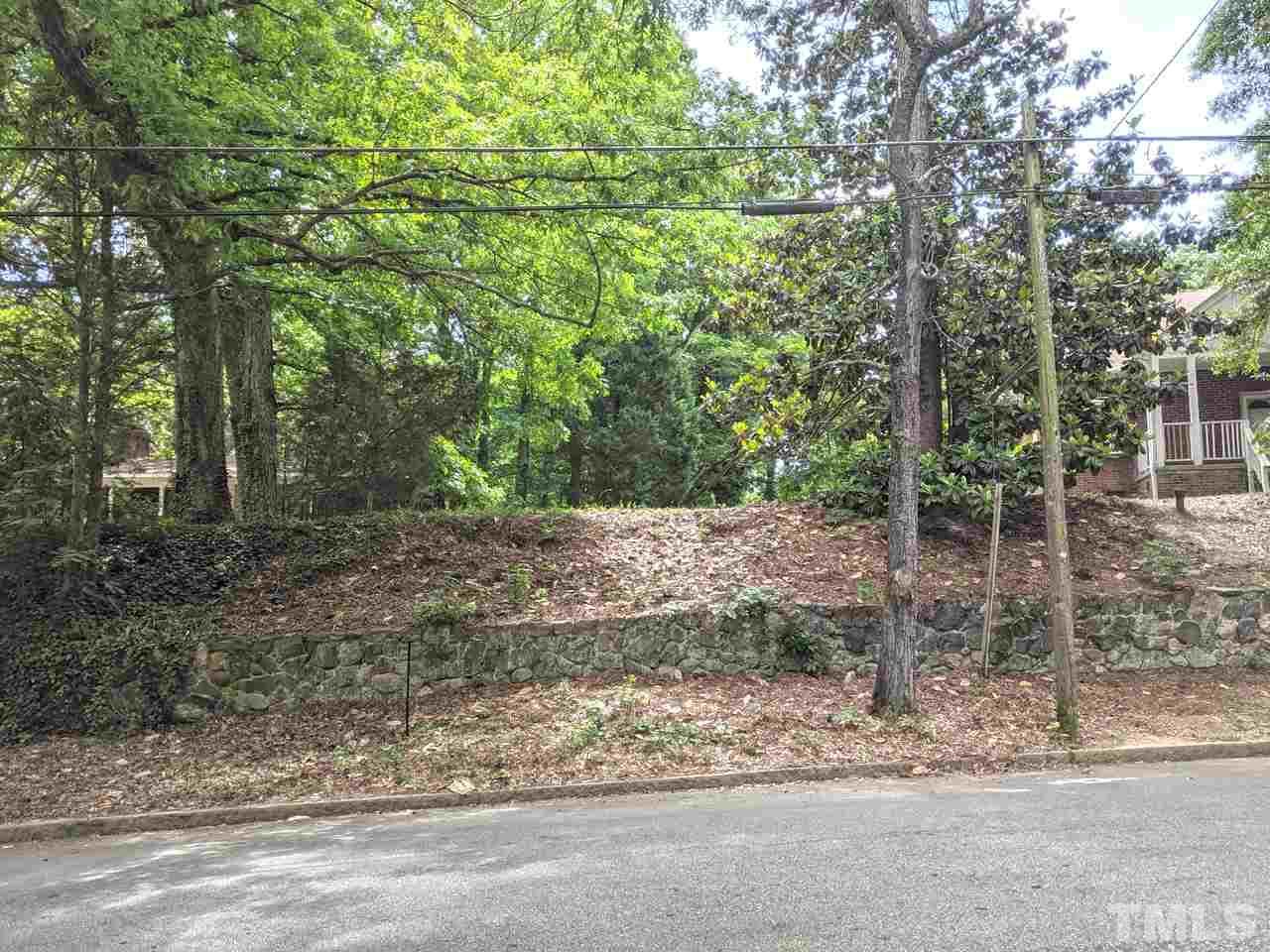 308 Pekoe Avenue - Photo 1