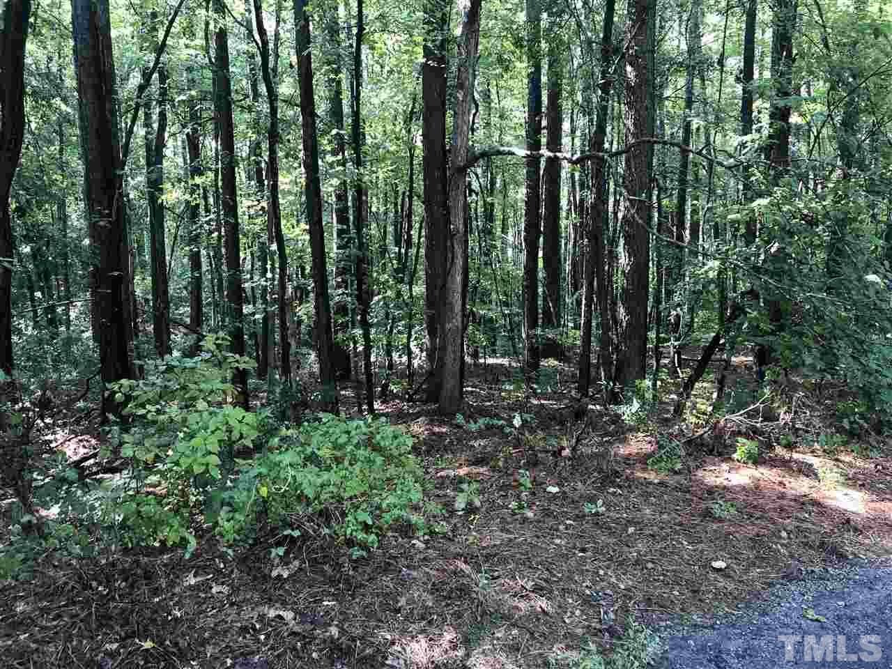 0 Teaberry Court - Photo 1