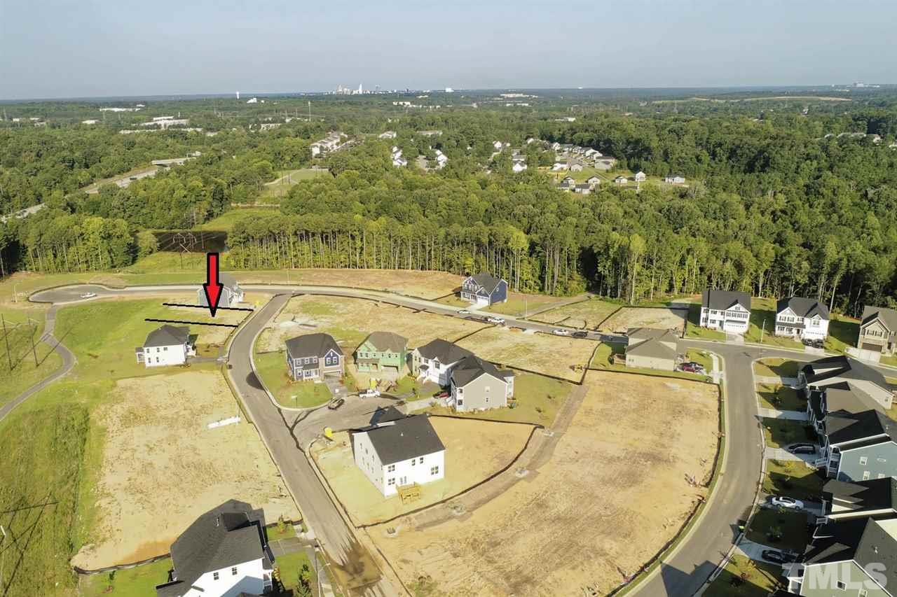 3009 Ashland Grove Drive - Photo 1