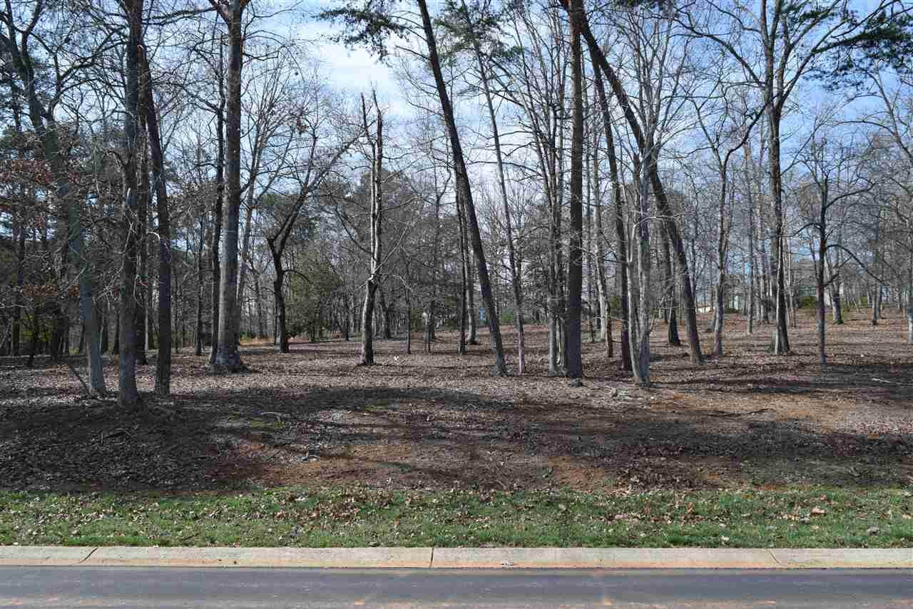 156 Flint Ridge Trail - Photo 1