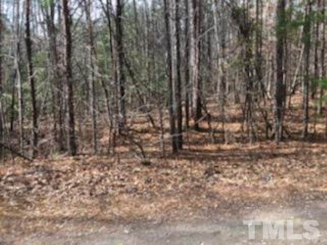Lot 75 Puddle Stone Lane - Photo 1