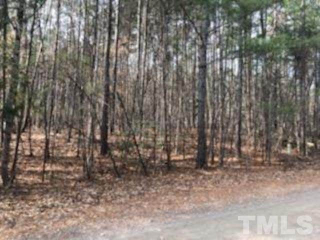 Lot 74 Puddle Stone Lane - Photo 1