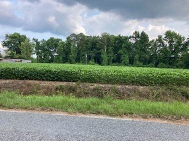 0 Waycross Road - Photo 1
