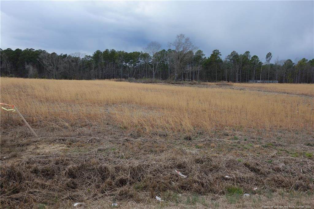 Tract 3 Odum Road - Photo 1