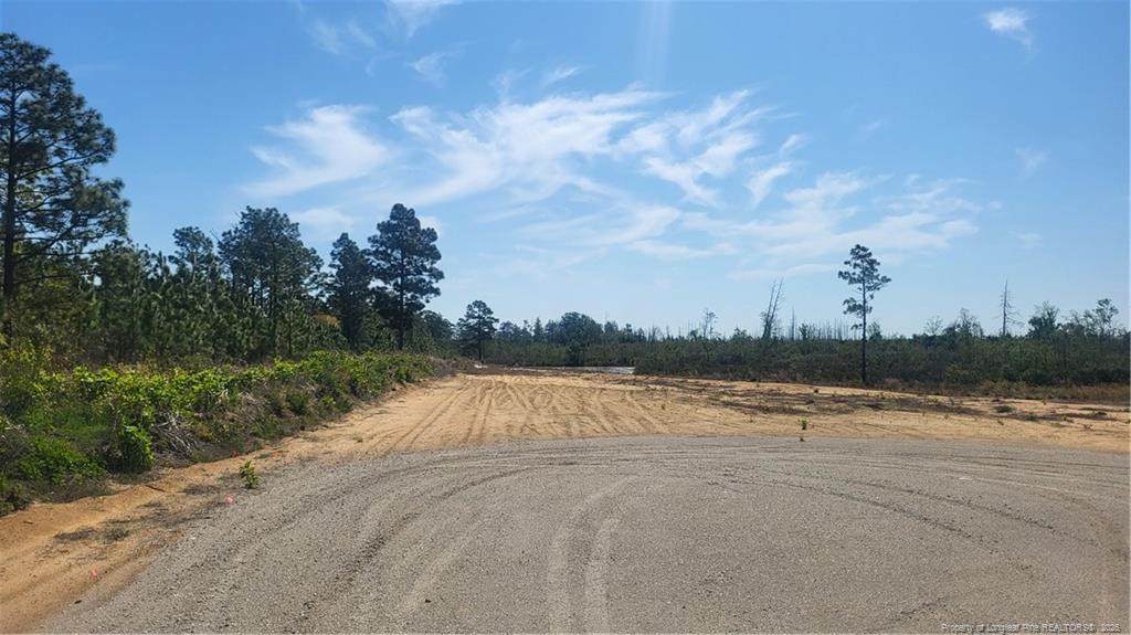 9123 D Cedar Creek Road - Photo 1