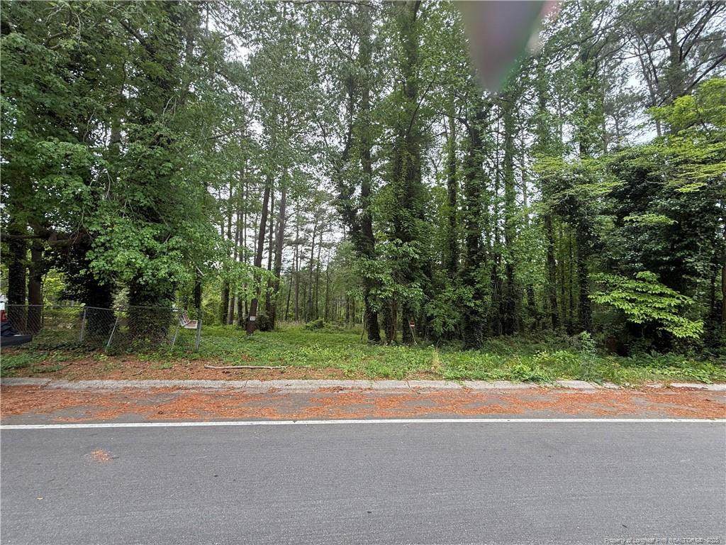TBD Hilton Drive - Photo 1