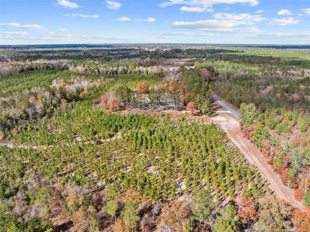 7399 Burney Road - Photo 1