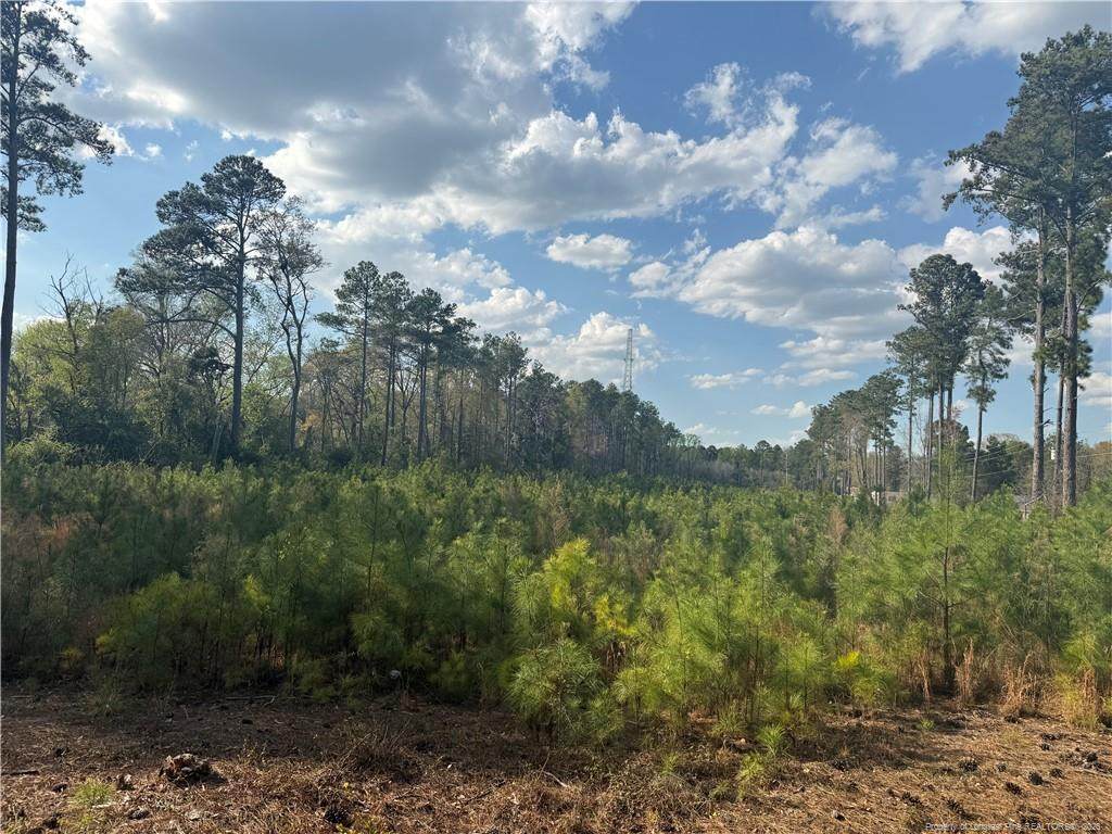 5022 Clyde Street - Photo 1