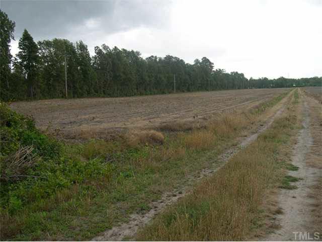 Lake Wilson Road - Photo 1