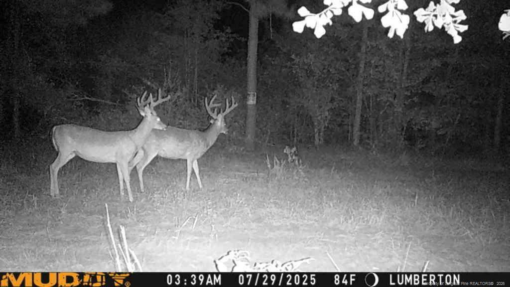  Allen Street - Photo 1