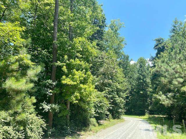 Lot B Carolina Farm Road - Photo 1